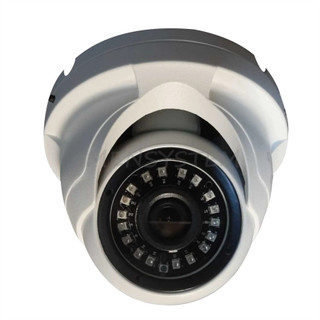 دوربین مداربسته دام تحت شبکه سنتینل DOME IP CAMERA SENTINEL 3 MegaPixel - IP D ST 4210