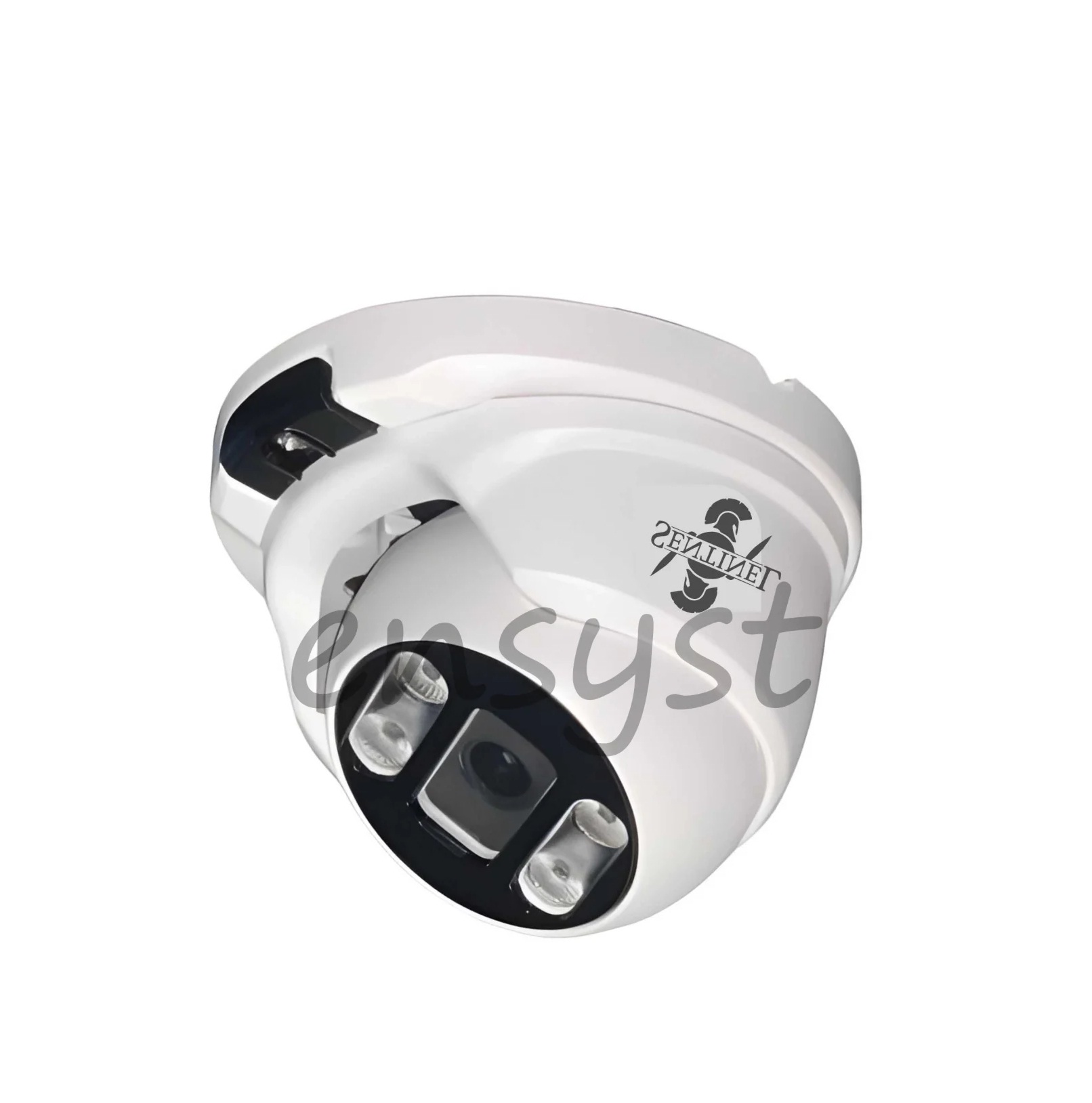 دوربین مداربسته دام تحت شبکه سنتینل DOME IP CAMERA SENTINEL 5 MegaPixel - IP D M4-05H5SV MIC